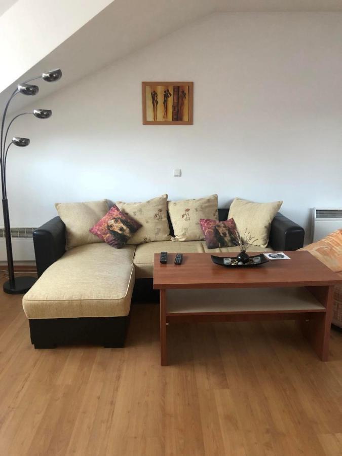Two Bedroom Flat In Magernitsa Bansko Exterior photo
